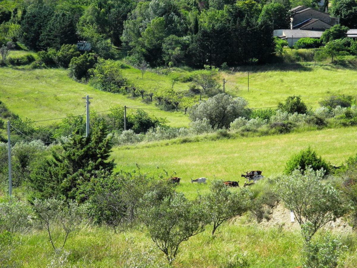 Pontet-Fronzele Agrotourisme Ecologique, Maison D'Hotes & Spa Лагорс Екстер'єр фото